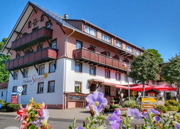 Wochner'S Hotel-Sternen Am Schluchsee Hochschwarzwald
