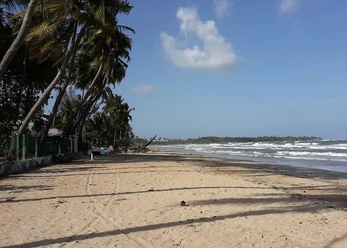 Dive Beach Palace
