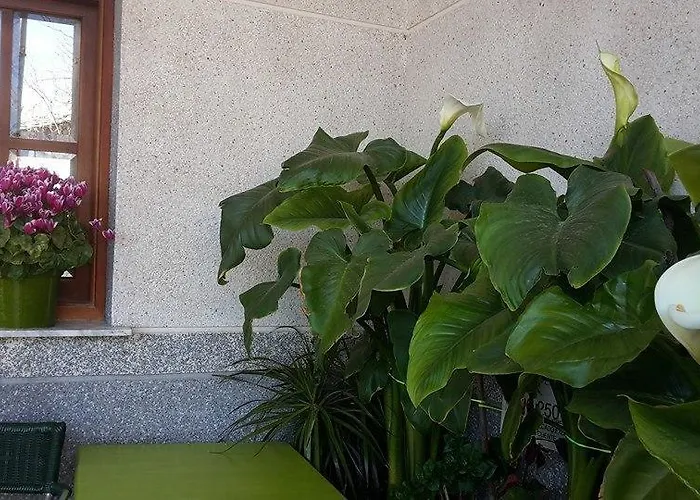 Hotel Condes de Buñol