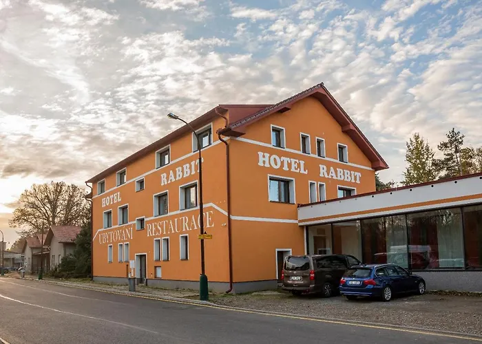 Hotel Rabbit