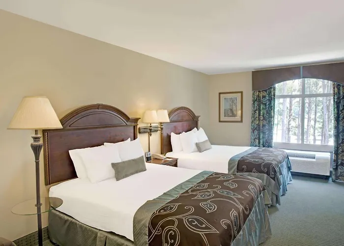 Wingate By Wyndham Charleston Southern University North Charleston