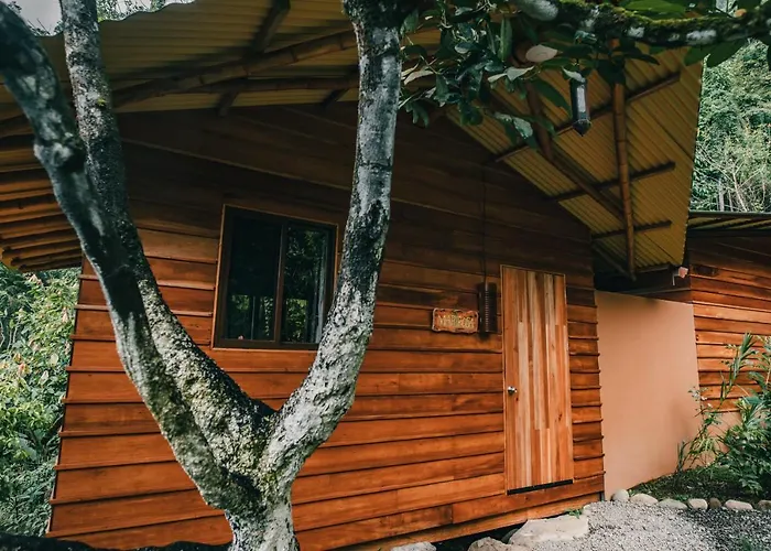 Selva Armonia Immersive Jungle Resort