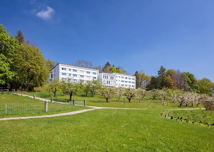 Le Domaine (Swiss Lodge)