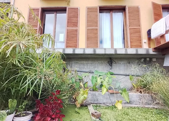 Casa Cavoquinho