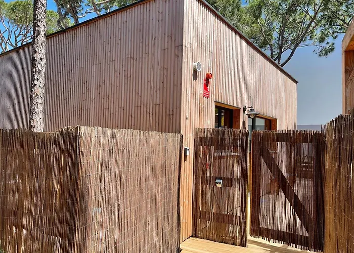 Nuevos Apartamentos Biopasivos Living Pura Madera