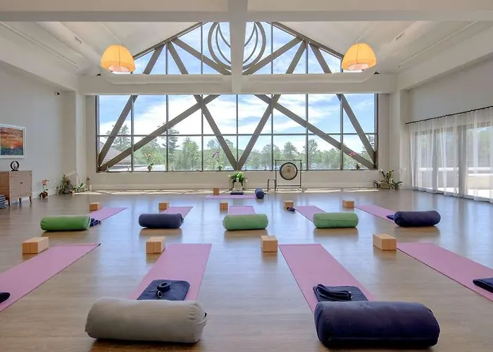 Yo1 India S Holistic Wellness Program
