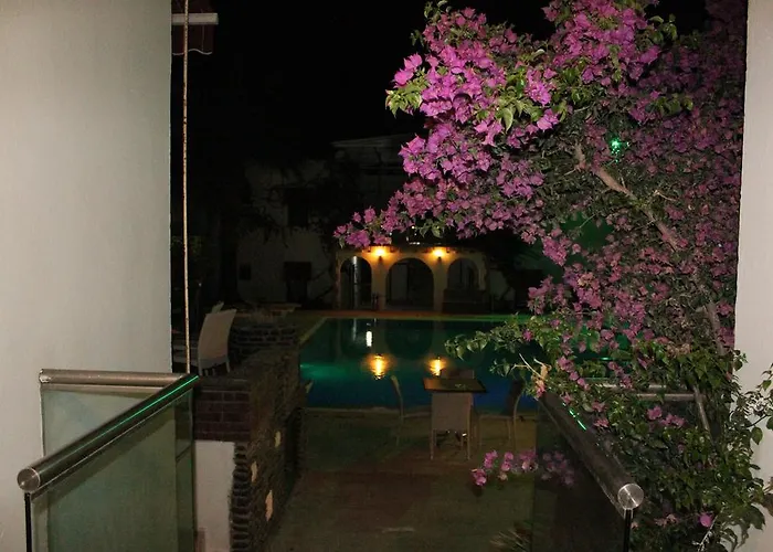 Alvin Hotel