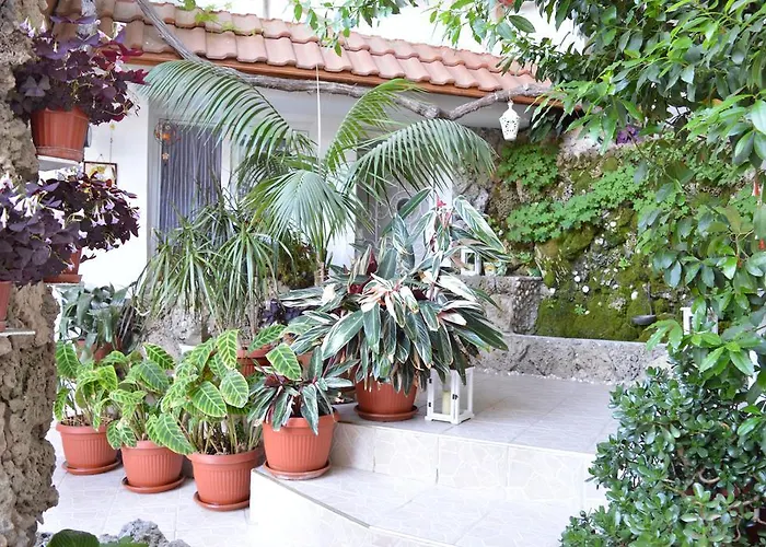 Family Hotel Sofi