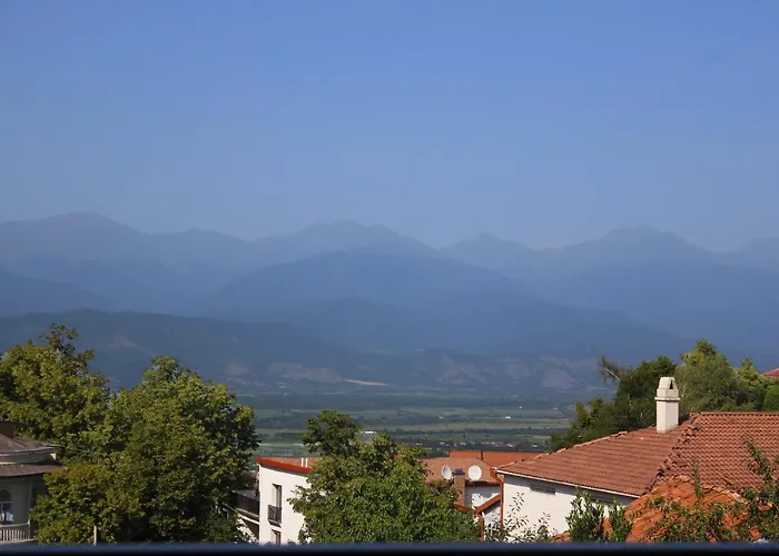 Hotel Mia Telavi