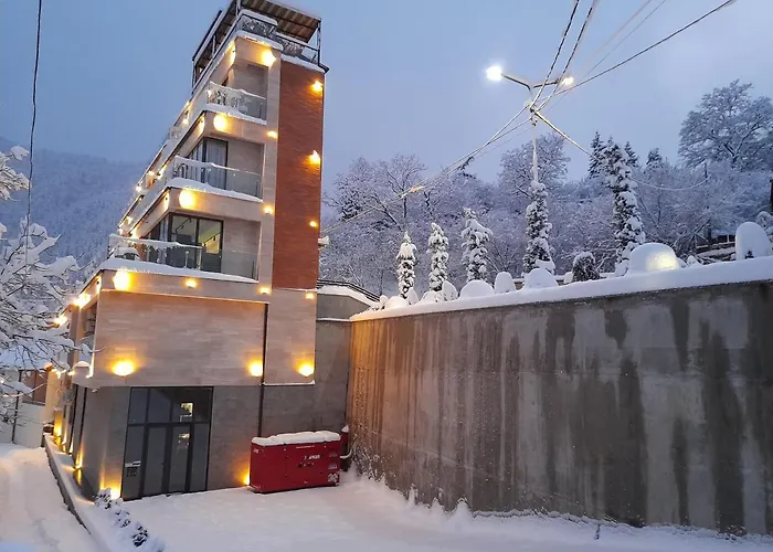 Borjomi Bridge Hotel