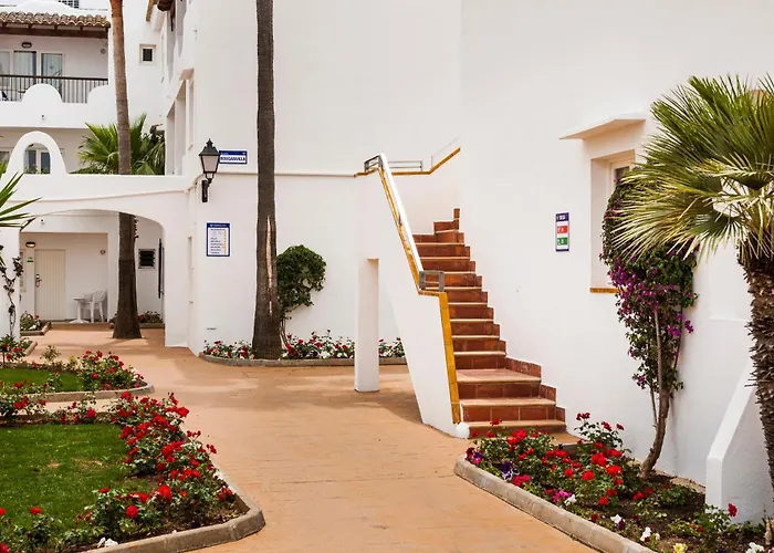 Globales Bouganvilla
