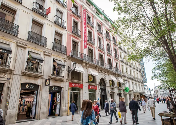 Petit Palace Puerta Del Sol Madri
