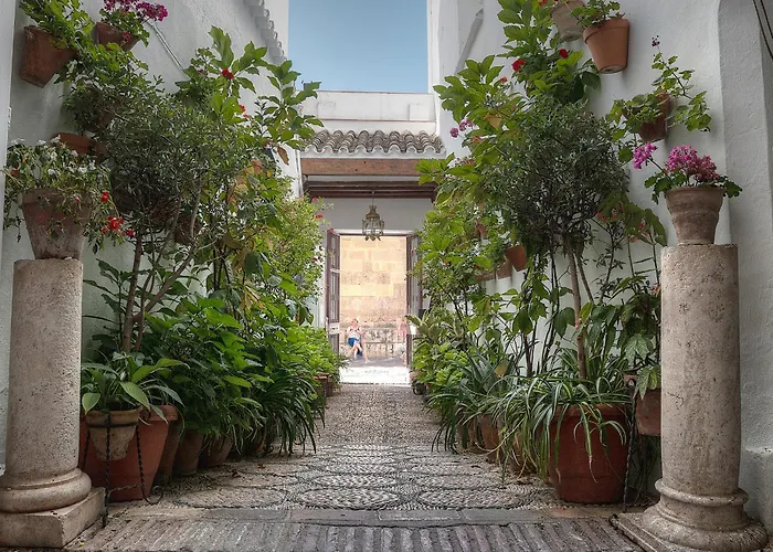 Los Patios