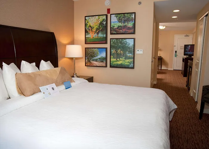 Hilton Garden Inn St. Louis Airport