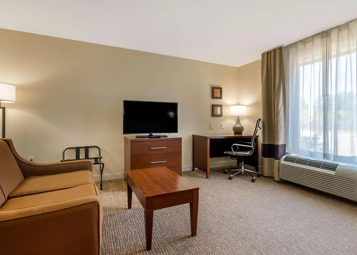 Comfort Inn & Suites Macon West