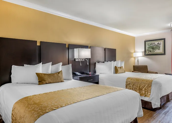 Best Western Plus South Bay Hotel