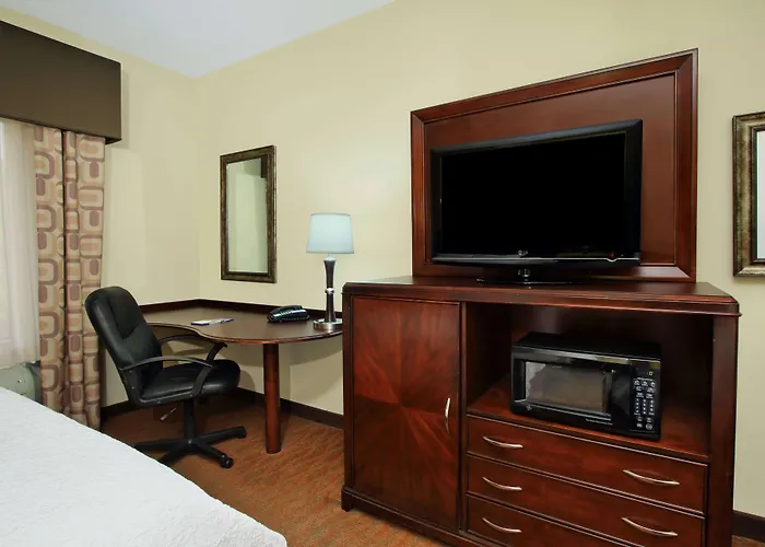 Hampton Inn & Suites Conroe I 45 North
