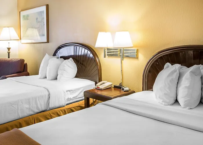 Econo Lodge Inn & Suites Carrollton