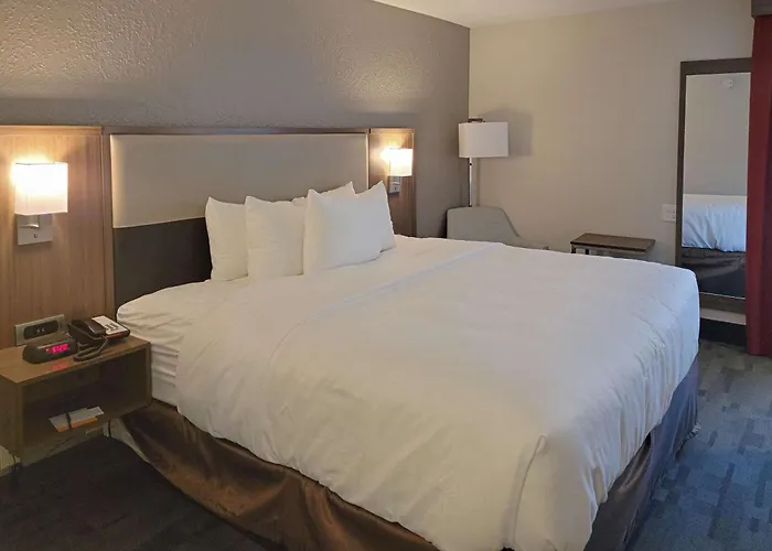Comfort Inn & Suites Wyomissing-Reading