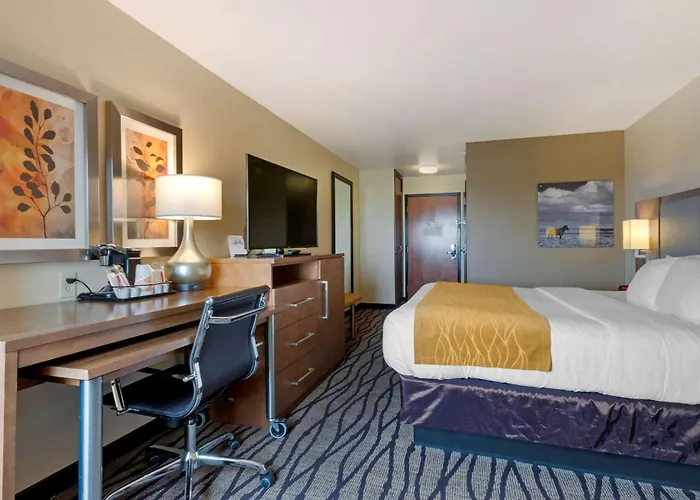 Comfort Inn & Suites Market - Airport