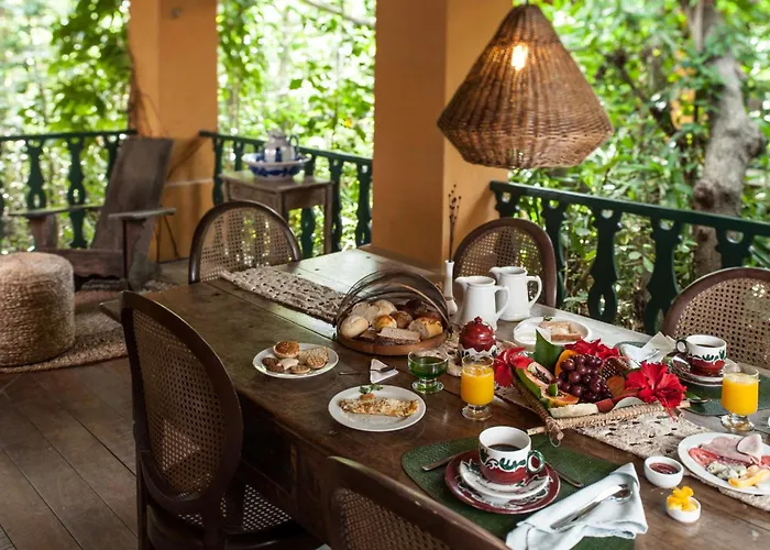 Toca Da Coruja - Eco Luxury Retreat