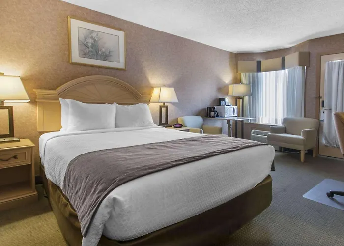 Flamingo Hotel