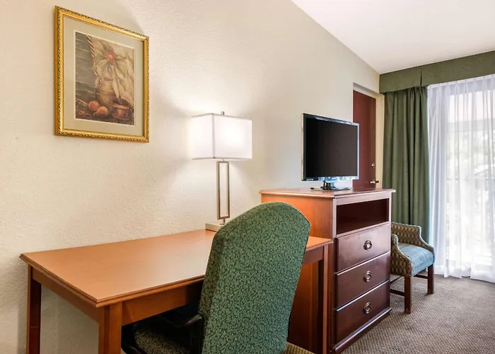 Quality Inn & Suites Tarpon Springs South