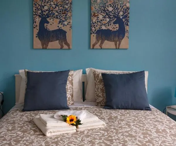 Flor&Fidalgo Guest House