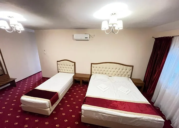 Hostel Paltinis