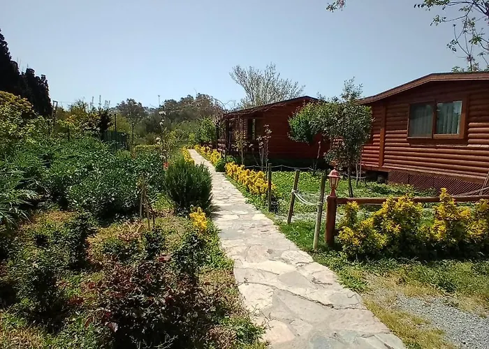 Defnewoodhome