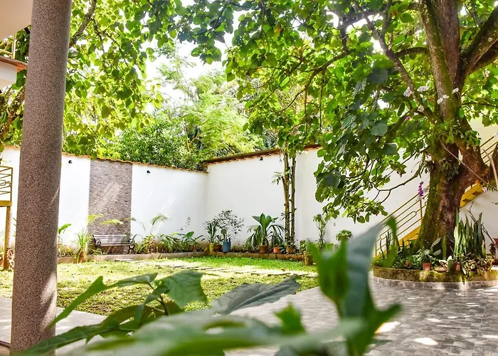 Green House Tarapoto