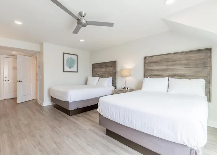 Impala Suites