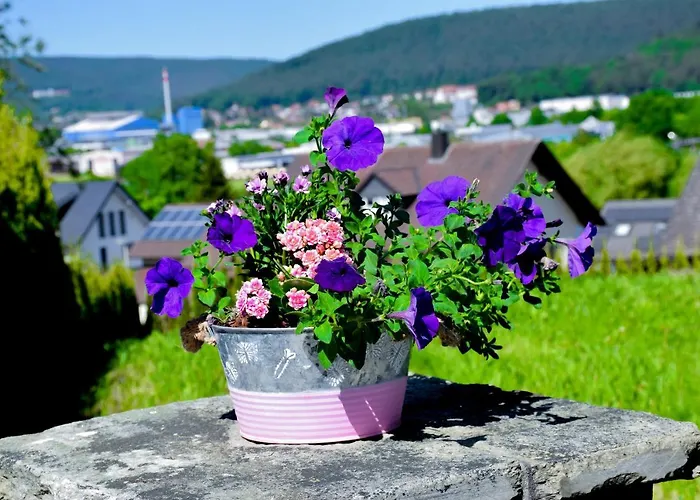 Hotel Bergwiesen - Zimmer mit Balkon oder Terasse