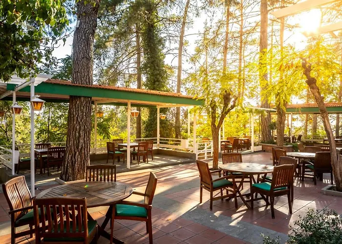 Forest Park Hotel