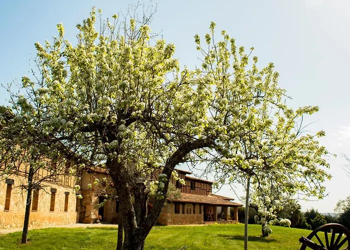 Alcor del Roble