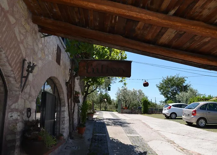 Il Borgo Dell'Ulivo