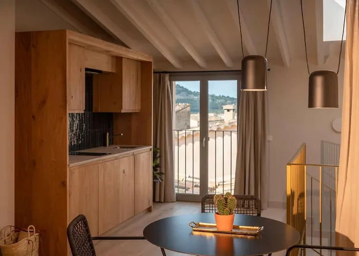 Can Veri Suites