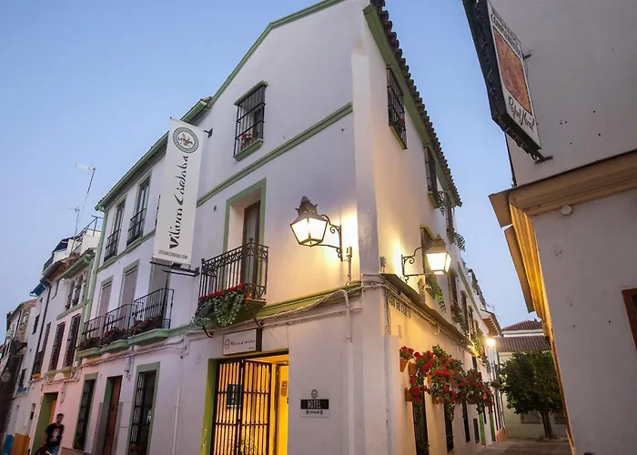 Vitium Cordoba