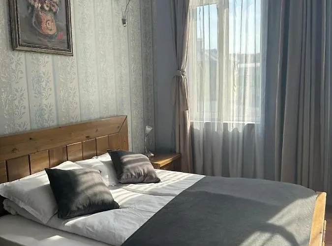 Vidin Hotel