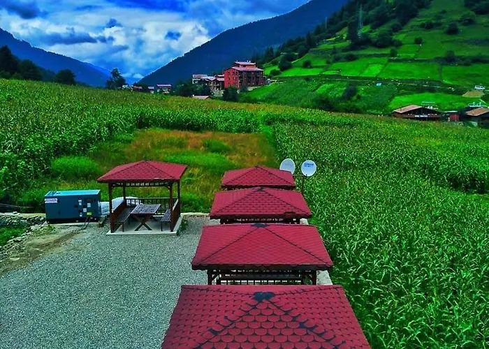 Anemo Suite