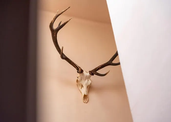 Hotel Le Cor De Chasse