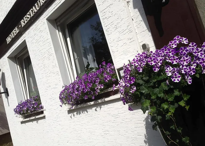 Hotel Domhof