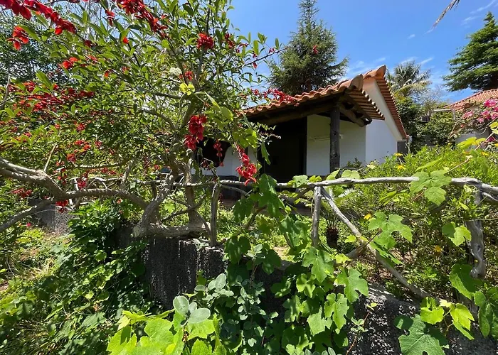 Casas De Campo Do Pomar B&B - Self Check-In