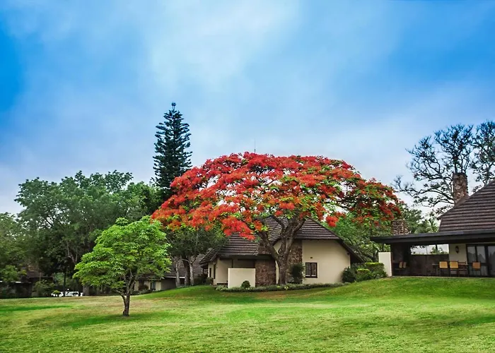 Sabi River Sun Resort