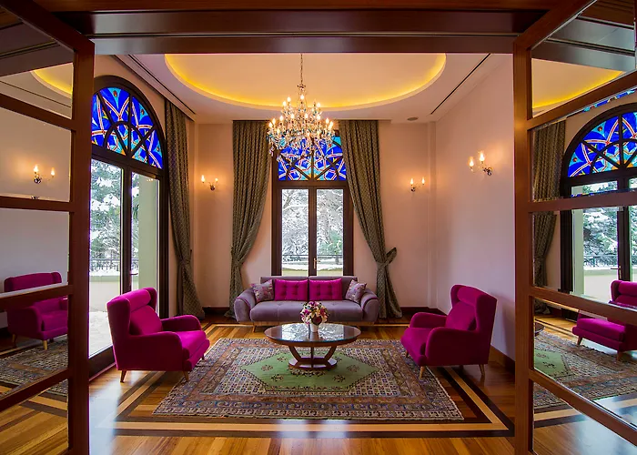 Hotel Çelik Palas Convention Center&Thermal SPA