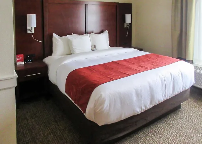 Comfort Suites Kyle