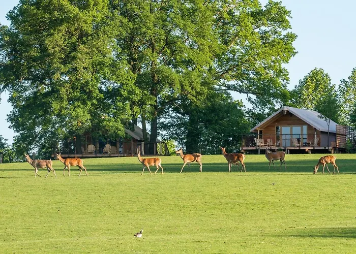 Parc Animalier De Sainte-Croix