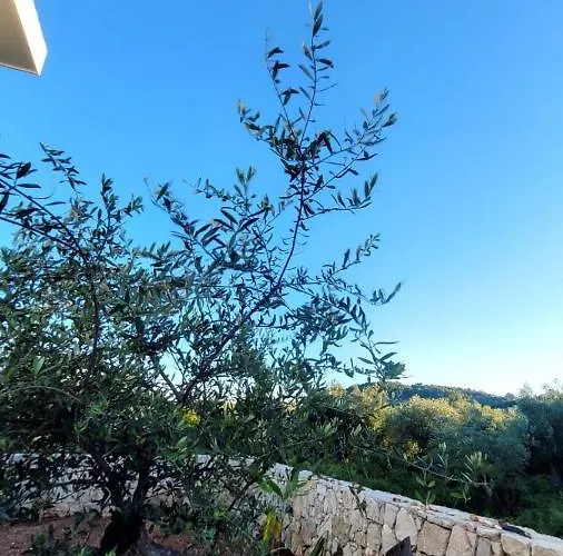 Sweet Home Himara
