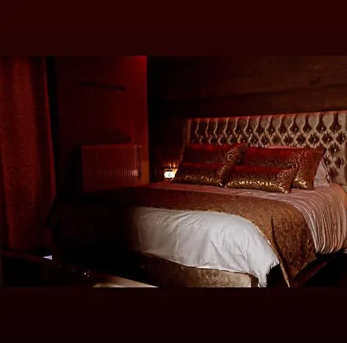 Dtoxx Cosy