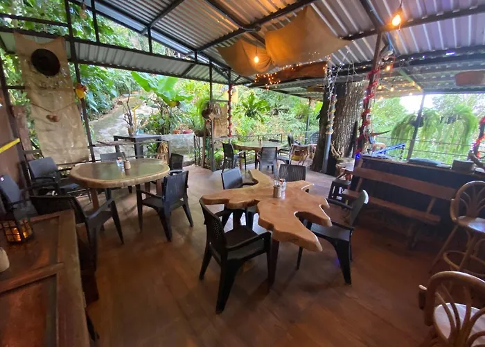 Hostal Café El Cedro